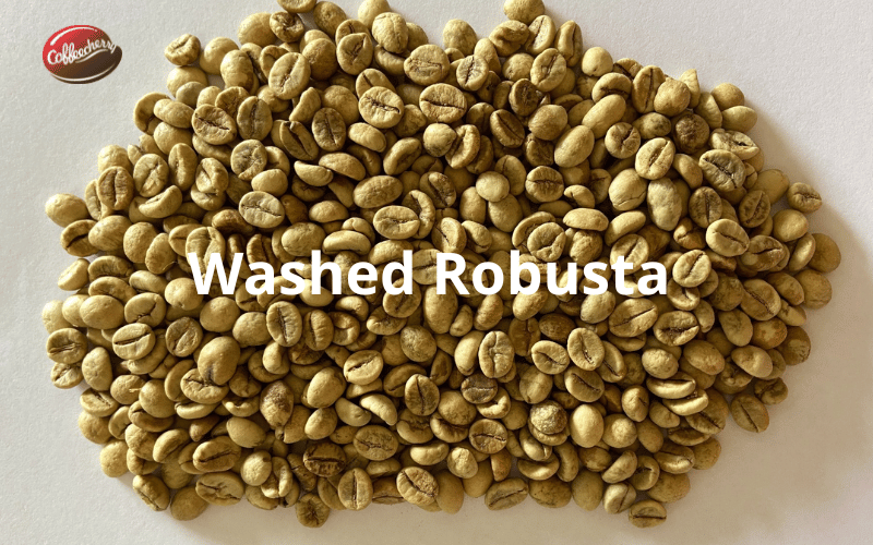 ca-phe-robusta-natural-robusta-washed-robusta-khac-nhau-the-nao (2).